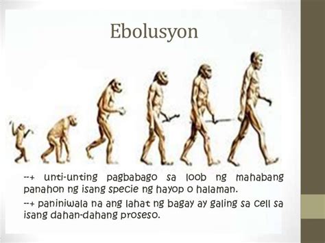 tt ng tao|Ebolusyon ng Tao (Charles Darwin) AP Grade 8 .